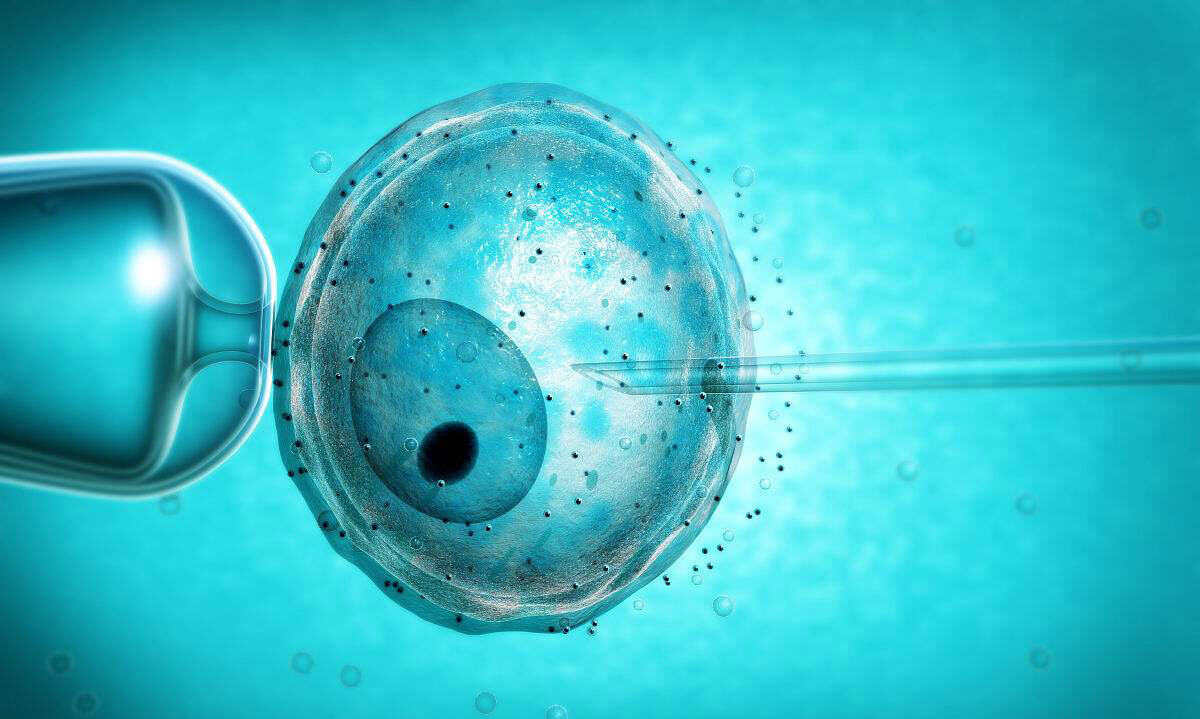 试管婴儿医院胚胎培养技术