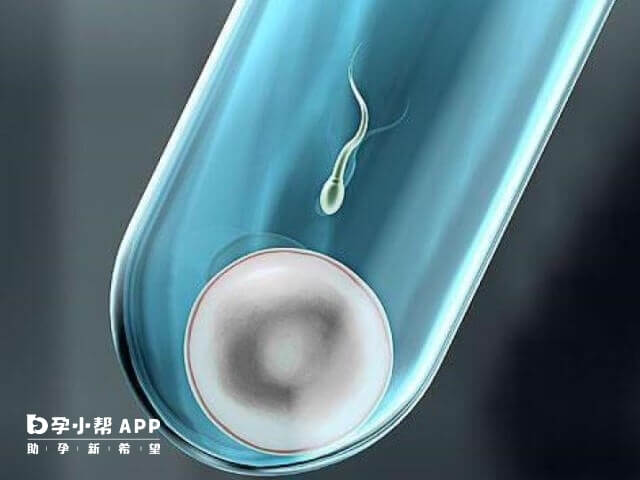 试管婴儿卵裂率影响因素分析