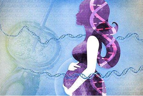 试管婴儿医院胚胎移植流程详解