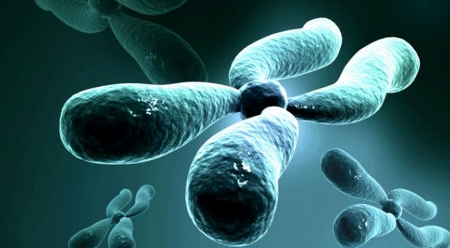 试管婴儿后白带异常