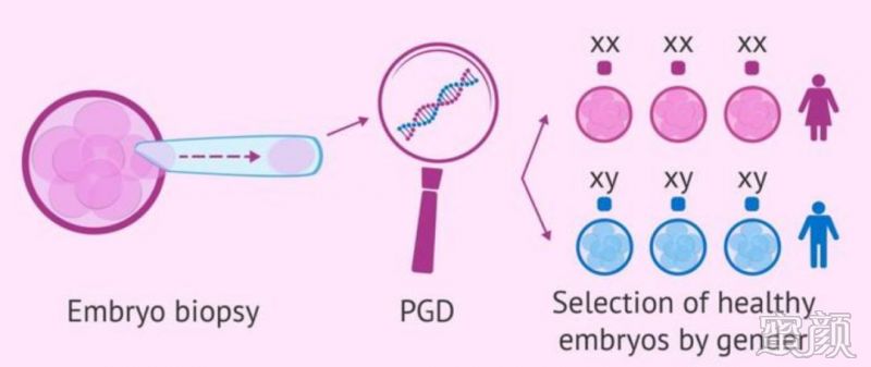 试管婴儿医院推荐指南