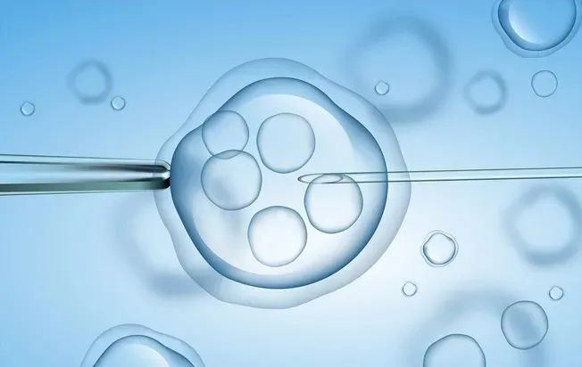 试管婴儿医保报销政策解读