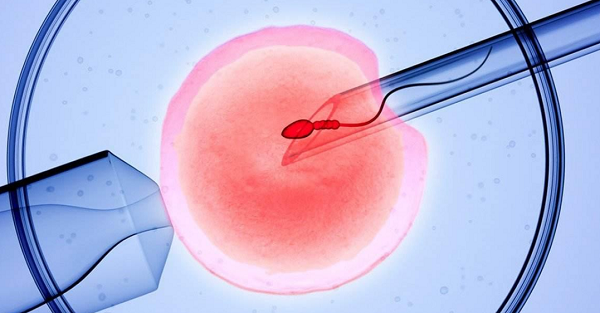 试管婴儿后注意事项