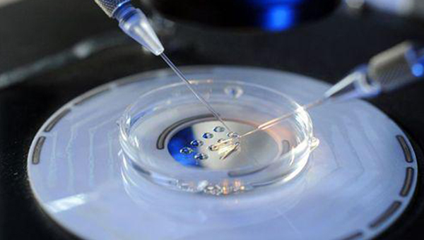 试管婴儿前检查